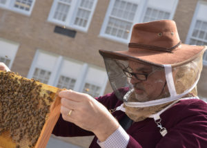 Tim Martin tending bee hives