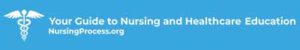 Nursing Process org logo