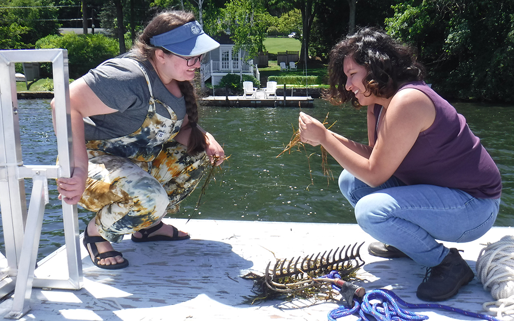 (l-r): Kelsey Sudol, a research assistant with the Lake Waramaug task force, with Maria Rodriguez-Hernandez at the lake. Sudol was demonstrating how to use the rake to pull up aquatic plants for identification.
