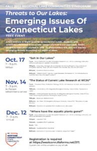 Lake series full poster
