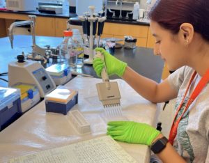 2022 SURF participant Jocelyn Villacreses uses quantitative PCR to measure gene expression of an osmotic stress transcription factor in the gills of Atlantic salmon.