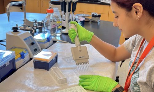 Summer program offers undergraduates opportunity to work with WCSU faculty mentors: WCSU seeks student applicants for research fellowships in biology