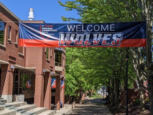 Welcome Wolves banner