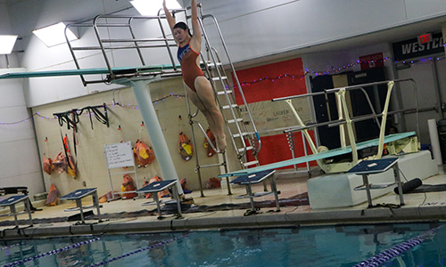 WestConn rookie divers receive weekly awards from Little East Conference