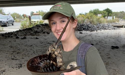 From bug collecting to bodywash research: WCSU’s M.S. in Integrative Biological Diversity program leads to sweet smell of success for Katie Cunningham