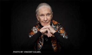 Dr. Jane Goodall