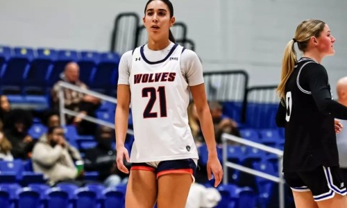 WestConn Women’s Hoops senior Macary honored by Metro Writers and NEWBA