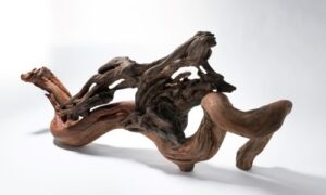 Loren Birtha: Polymorphic Divinity, carved redwood tree roots, 35w x 16.5h x 9.5d in.
