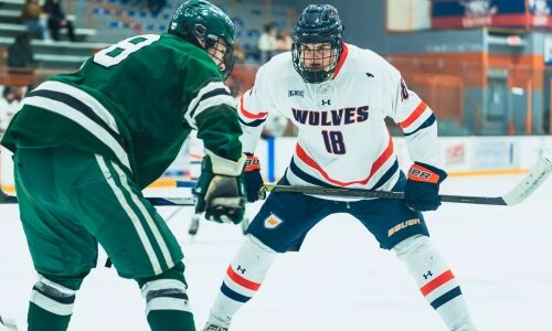 Eleven from WestConn Men’s Ice Hockey named AHCA All-American Scholars